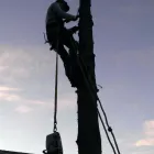 Entreprises 1 image AXE BANDITS TREE & YARD SERVICES Tree Work & Forestry Services dans Edmonton AB