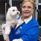 Business 3 image B-PRO GROOMING Pet Grooming Services in Brampton ON