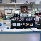 Business 8 image B-PRO GROOMING Pet Grooming Services in Brampton ON