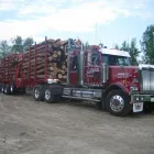 Entreprises 1 image B RICHER ET FILS INC Real Estate & Home Improvement dans Pierrefonds QC