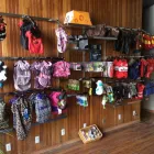 Business 2 image BABOUSHKA TOILETTAGE Pet Grooming Services in Montréal QC