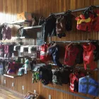 Business 3 image BABOUSHKA TOILETTAGE Pet Grooming Services in Montréal QC