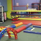 Business 3 image BALLS OF FUN - KIDS INDOOR PLAYGROUND Education in Mississauga ON