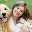 Business 8 image BANK ST ANIMAL HOSPITAL Veterinarians in Ottawa ON