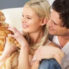 Business 10 image BANK ST ANIMAL HOSPITAL Veterinarians in Ottawa ON