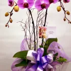 Business 2 image BAXTER-KOBE FLORIST Shopping in Burnaby BC