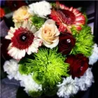 Business 4 image BELLAMY FLOWERS - LOCATED IN THE HEART OF MISSISSAUGA & BRAMPTON Shopping in Brampton ON