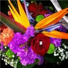 Business 6 image BELLAMY FLOWERS - LOCATED IN THE HEART OF MISSISSAUGA & BRAMPTON Shopping in Brampton ON