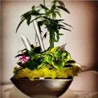 Business 8 image BELLAMY FLOWERS - LOCATED IN THE HEART OF MISSISSAUGA & BRAMPTON Shopping in Brampton ON