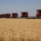 Entreprises 5 image BEN & DONNA WALTER'S HARVESTING Industries & Agriculture dans Lethbridge AB