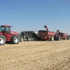 Entreprises 1 image BEN & DONNA WALTER'S HARVESTING Industries & Agriculture dans Lethbridge AB