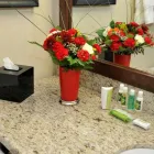 Entreprises 36 image BEST WESTERN PREMIER DENHAM INN & SUITES travel & tourism dans Leduc AB