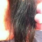 Business 13 image BLONDES HAIR STUDIO Hair Salons in Vancouver BC