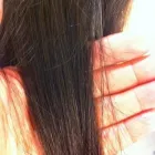 Business 14 image BLONDES HAIR STUDIO Hair Salons in Vancouver BC