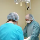 Business 1 image BLOOR-KIPLING ANIMAL CLINIC Veterinarians in Etobicoke ON