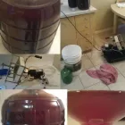 Entreprises 2 image BOSAGRAPE WINERY & BREW SUPPLIES LTD Winemaking & Brewing Equipment & Supplies dans Burnaby BC