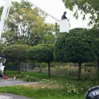 Business 10 image BRANCHES TREE SERVICE Tree Work & Forestry Services in Bowmanville ON