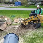 Business 2 image BRANCHES TREE SERVICE Tree Work & Forestry Services in Bowmanville ON