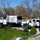 Business 17 image BRANCHES TREE SERVICE Tree Work & Forestry Services in Bowmanville ON