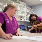 Entreprises 10 image BRIMLEY-LAWRENCE ANIMAL CLINIC Veterinarians dans Scarborough ON