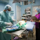 Entreprises 16 image BRIMLEY-LAWRENCE ANIMAL CLINIC Veterinarians dans Scarborough ON