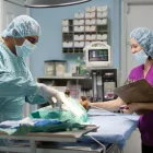 Entreprises 3 image BRIMLEY-LAWRENCE ANIMAL CLINIC Veterinarians dans Scarborough ON