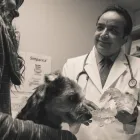 Entreprises 6 image BRIMLEY-LAWRENCE ANIMAL CLINIC Veterinarians dans Scarborough ON