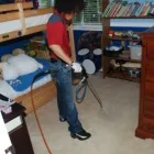 Business 5 image BRISAS CARPET CARE Shopping in Vancouver BC