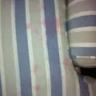 Business 2 image BRISAS CARPET CARE Shopping in Vancouver BC