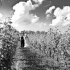 Entreprises 27 image BRUCE JOLLIMORE PHOTOGRAPHY Photographers & Photo Studios dans Dartmouth NS