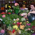 Entreprises 3 image BUNCHES PARK ALLEN PLACE Shopping dans Edmonton AB