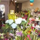 Entreprises 4 image BUNCHES PARK ALLEN PLACE Shopping dans Edmonton AB