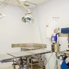 Entreprises 4 image BURNHAMTHORPE ANIMAL HOSPITAL Veterinarians dans Mississauga ON