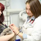 Entreprises 5 image BURNHAMTHORPE ANIMAL HOSPITAL Veterinarians dans Mississauga ON