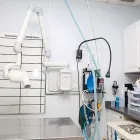 Entreprises 1 image BURNHAMTHORPE ANIMAL HOSPITAL Veterinarians dans Mississauga ON