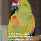 Business 3 image C & C FARMS AVIARY & EXOTIC PETS Shopping in Windsor ON