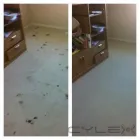 Business 7 image CANADA CLEAN HOME Steam Cleaning Services in Edmonton AB