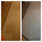Business 11 image CANADA CLEAN HOME Steam Cleaning Services in Edmonton AB
