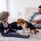 Entreprises 5 image CANADIAN MENTAL HEALTH ASSOCIATION | YORK REGION & SOUTH SIMCOE: AURORA BRANCH Clinics & Medical Centres dans Aurora ON