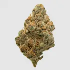 Entreprises 4 image CANNABIS PRO Cigars dans Ottawa ON