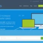 Entreprises 2 image CAPITAL SEO Web Design & Development dans Ottawa ON