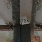 Business 15 image CASCADE ENVIRONMENTAL CONSULTING LTD Real Estate & Home Improvement in Edmonton AB