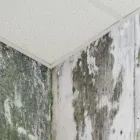 Business 18 image CASCADE ENVIRONMENTAL CONSULTING LTD Real Estate & Home Improvement in Edmonton AB