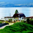 Business 5 image CEDAR CREEK ESTATE WINERY Vineyards, Wineries & Wine Producers in Kelowna BC