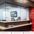 Business 2 image CHANGE EXPRESS Shipping Companies & Services in Toronto ON