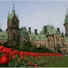 Entreprises 2 image CHEQUE MATES PAYROLL AND TAX SOLUTIONS Tax Consultants & Services dans Ottawa ON