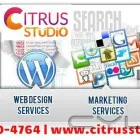 Entreprises 1 image CITRUSSTUDIO Web Design & Development dans Mississauga ON