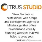 Entreprises 2 image CITRUSSTUDIO Web Design & Development dans Mississauga ON