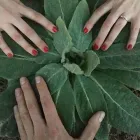 Entreprises 1 image CJR ACUPUNCTURE Health & Wellness Centres dans Kelowna BC