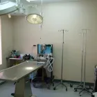 Entreprises 5 image CLINIQUE MÉDECIN VÉTÉRINAIRE DE ST-LOUIS Veterinarians dans Montréal QC